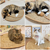Collage of cats on a round woven mat with a neutral background