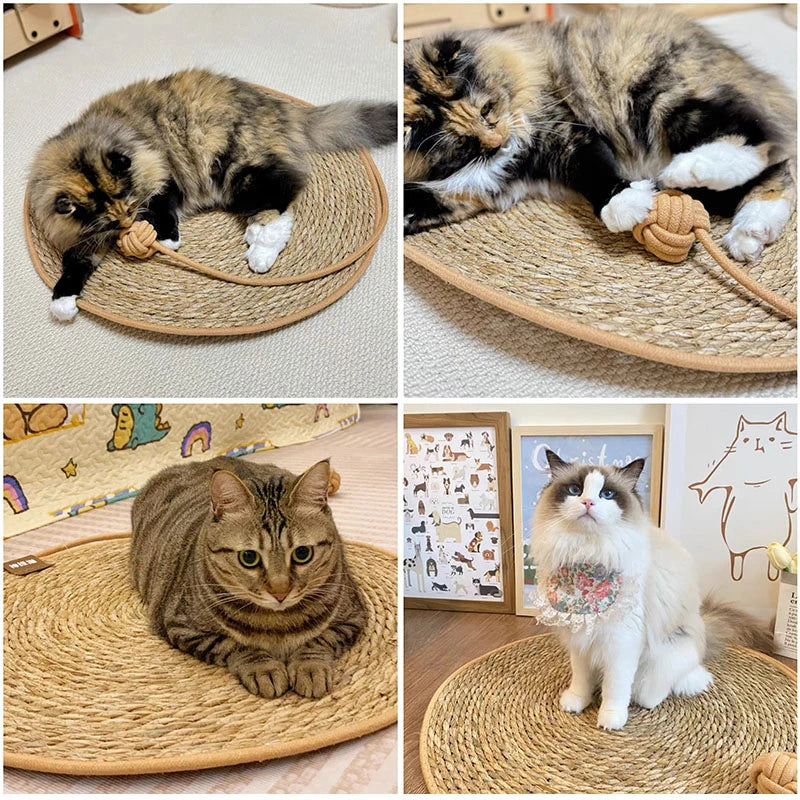 Collage of cats on a round woven mat with a neutral background