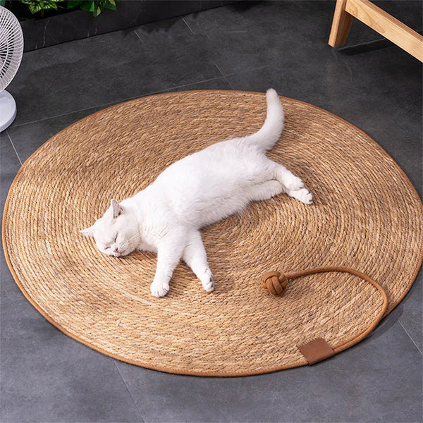 White cat lying on a round woven mat with a wooden base on a dark tiled floor.