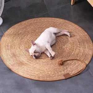 Dog lying on a round woven mat on a tiled floor
