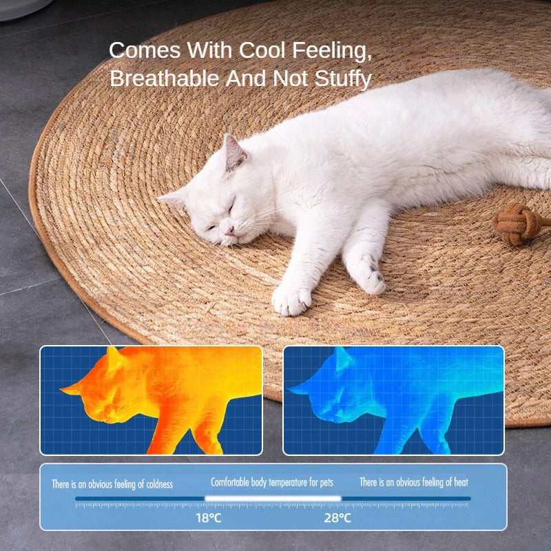 White cat lying on a round woven mat with text about comfort and temperature.