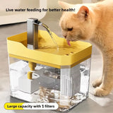 Cat drinking water from a yellow and clear pet fountain with text about live water feeding.