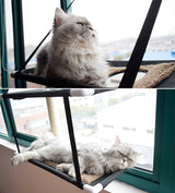 Double Layer Pet Hanging Beds Cats Shelves Bearing 15kg Cat Sunny Window Seat Mount Pet Cat Sleeping Hammock Cat Bed Accessories